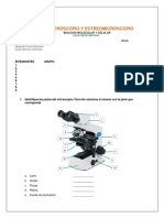 Taller Microscopio y Estereomiscroscopio