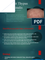 Penyakit Tifus Abdominalis