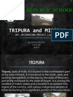 Delhi Public School: Tripura and Mizoram