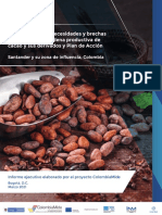 Informe Ejecutivo Cacao