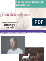 From Gene To Protein: Biology