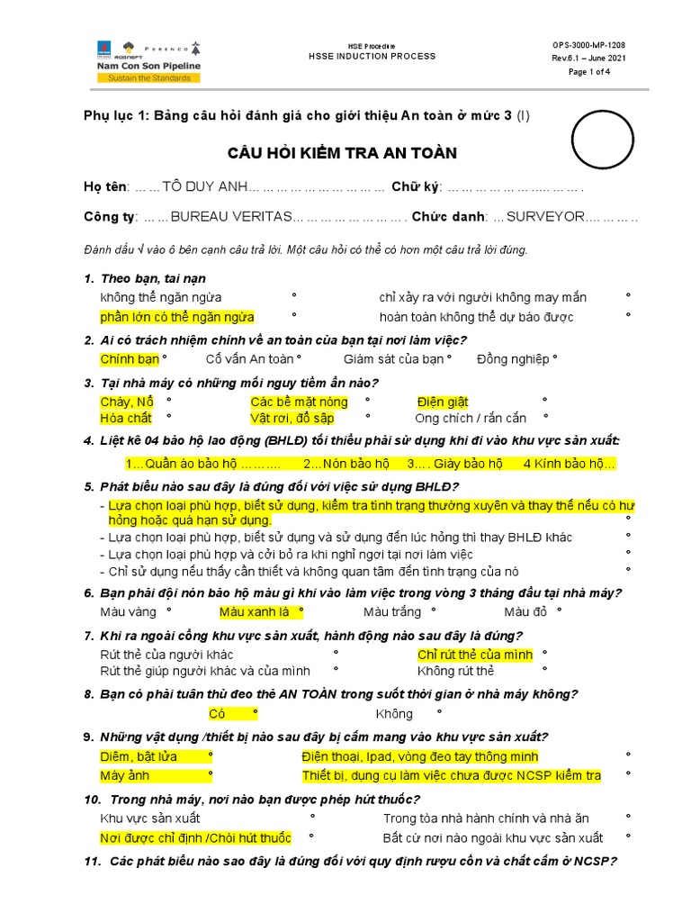 Hse Induction Assessment in Terminal (Vietnamese) 1 PDF