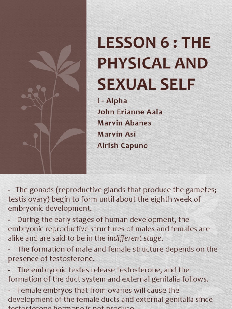 1-Alpha Lesson 6 - The Physical and Sexual Self | PDF | Birth Control ...