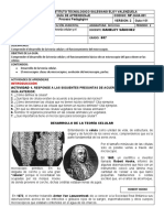 Guía 01 - Segundo Periodo - La Teoría Celular y El Microscopio