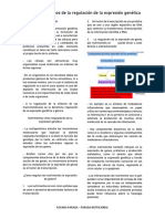 Conceptos Básicos de La Regulación de La Expresión Genética