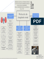 Mapa Conceptual Protocolo de Trasplante Renal