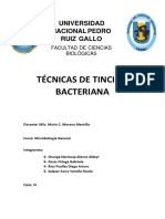 Técnicas de Tinción Bacteriana