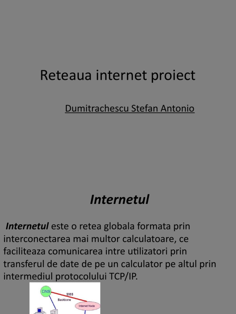 Reteaua Internet | PDF