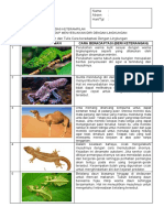 Carilah 5 Gambar Hewan Dan Tulis Cara Beradaptasi Dengan Lingkungan