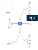 Carte Mentale Graphies Son K