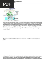 Download 1207-teknik-bududaya-sayuran-secara-hidroponikpdfbyChrismanDaniSitanggangSN56052510 doc pdf