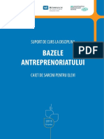 324296676-bazele-antreprenoriatului