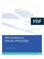 IRIS Guideline 6: Special Processes: English