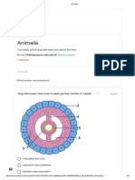 Animalia 7 MEI