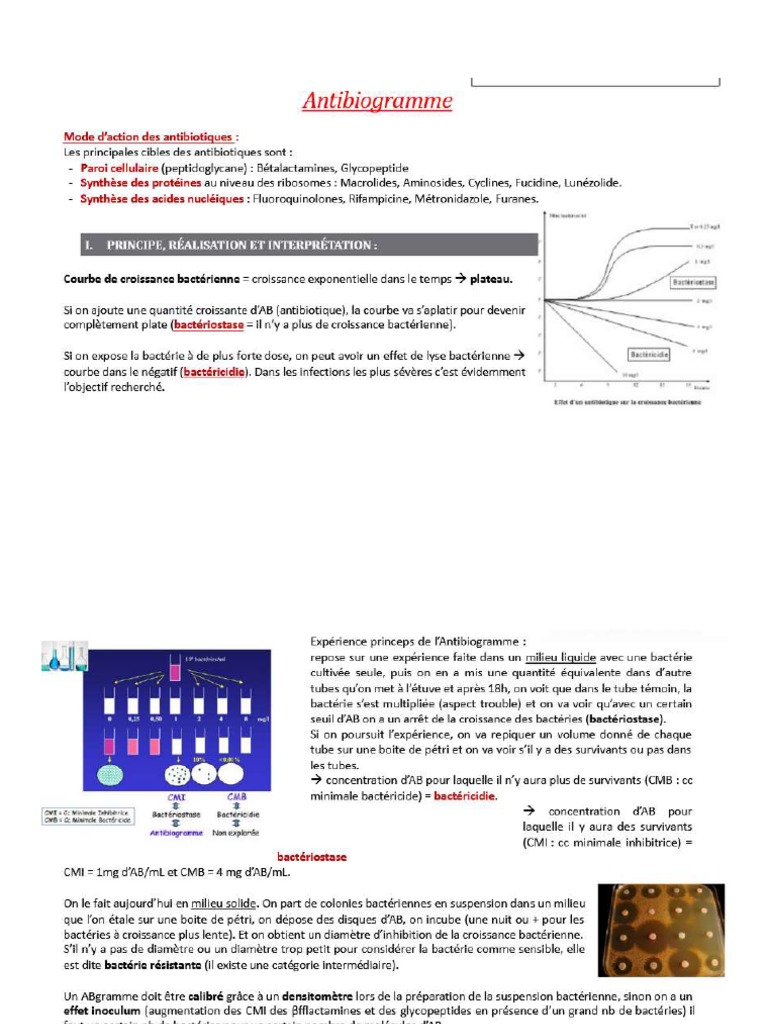 Antibiogramme 1 PDF