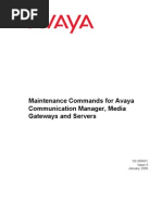 Maintenance Commands For Avaya