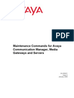 Maintenance Commands For Avaya