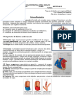 Iara 8ºano Ciências