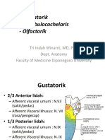 Organon Sensuum Gustatorik-Olfactorik-Auditorik