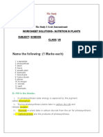 Name The Following: (1 Marks Each) : Worksheet Solutions - Nutrition in Plants Subject: Science Class: Vii