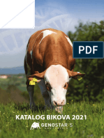 Katalog Bikova 2021