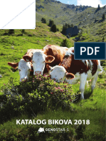 Katalog Bikova 2018