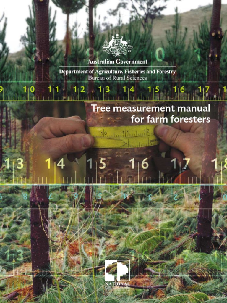 How Do Foresters Measure Tree Diameter? – MKEAYJ