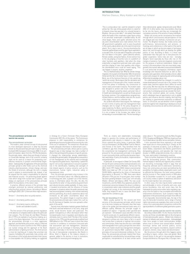 Global Civil Society | PDF | Risk Management | Non Governmental ...