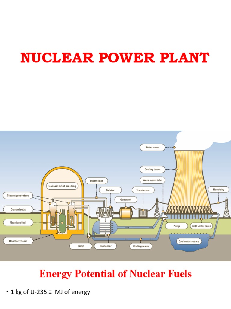 Nuclear Power Plant | PDF | Pressurized Water Reactor | Nuclear Reactor