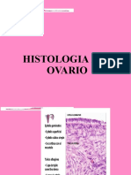 Histologia Del Ovario