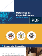 Optativas de Especialización BUAP