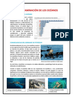 LA CONTAMINACIÓN DE LOS OCÉANOS