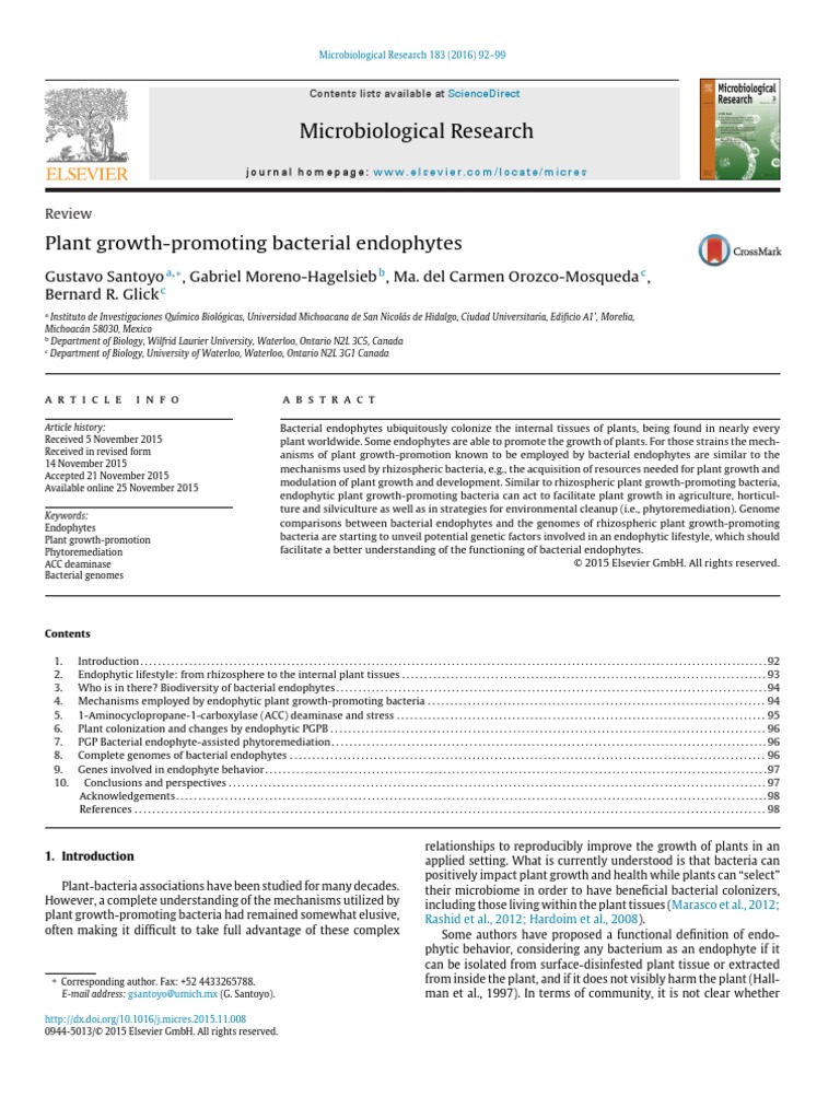 Plant Growth Promoting Bacterial Endophy | PDF | Root | Bacteria