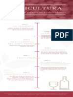 Infografía Sencillo Vino Tinto Cronología