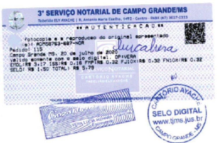 Selo Top 1 | PDF