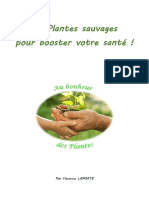 3 Plantes Sauvages Pour Booster Votre Vie