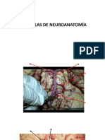 Mini-Atlas de Neuro