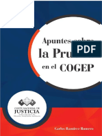 Apuntes Cogep