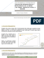 Caracterización Geometalúrgica Depósito Vicky