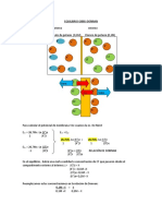 Cálculo Del Potencial de Membrana EQUILIBRIO GIBBS Donnan