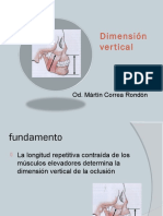 Dimensión Vertical