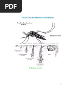 Download Vektor Penyakit by Aditya Triesnandi SN56067282 doc pdf