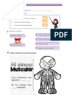 Actividades Musculos LUCI