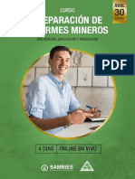 Curso Preparación de Informes Mineros