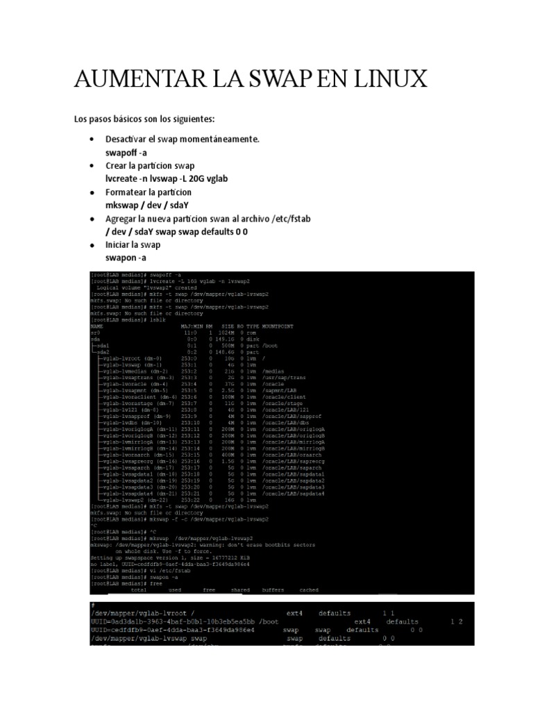 Aumentar La SWAP en Linux PDF