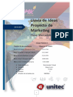 2do. Avance Propuestas de Proyecto MKT I