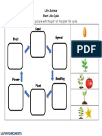 Plant Life Cycle