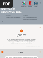 Sociedades de Producción Rural en México | PDF | Sociedad | Economias