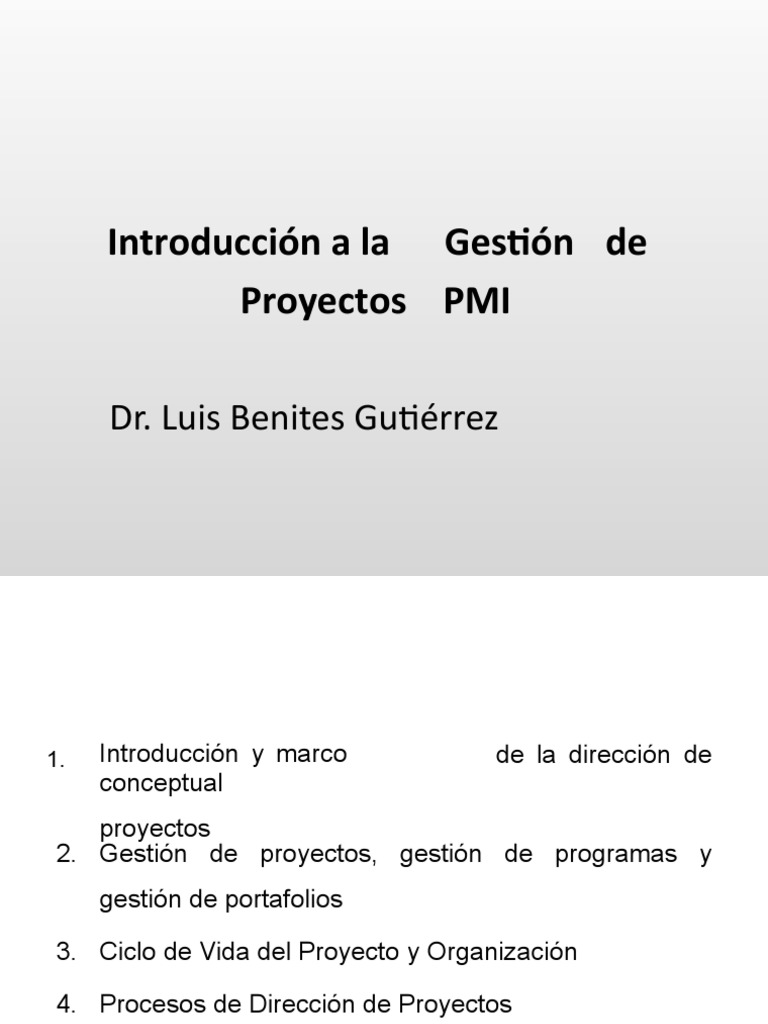 Gestion PMI | PDF | Gestión de proyectos | Business