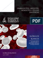 2.2 Granulocitos, Linfocitos, Monocitos y Células Dentífricas